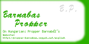 barnabas propper business card
